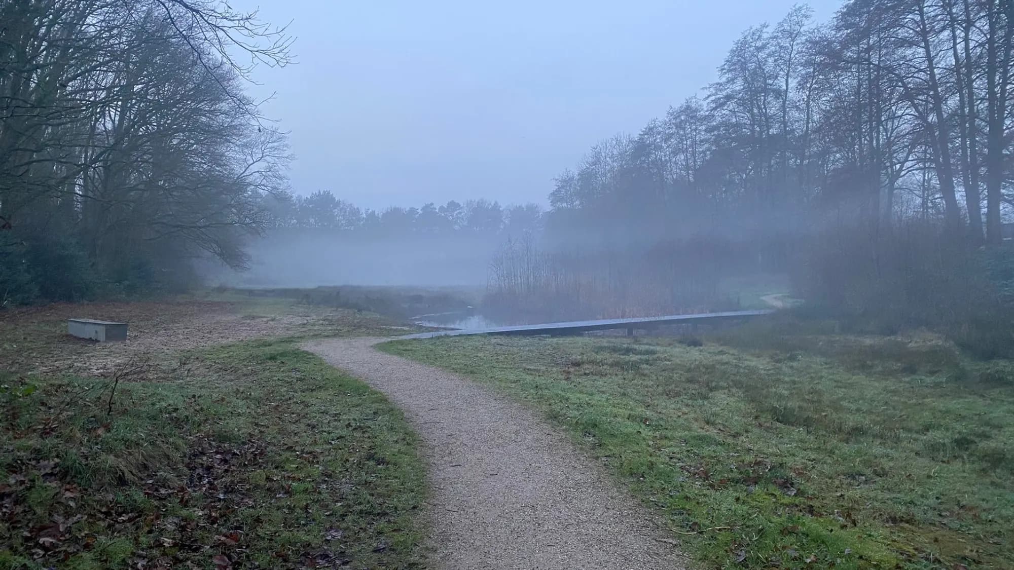 Mistig bospad in de vroege ochtend